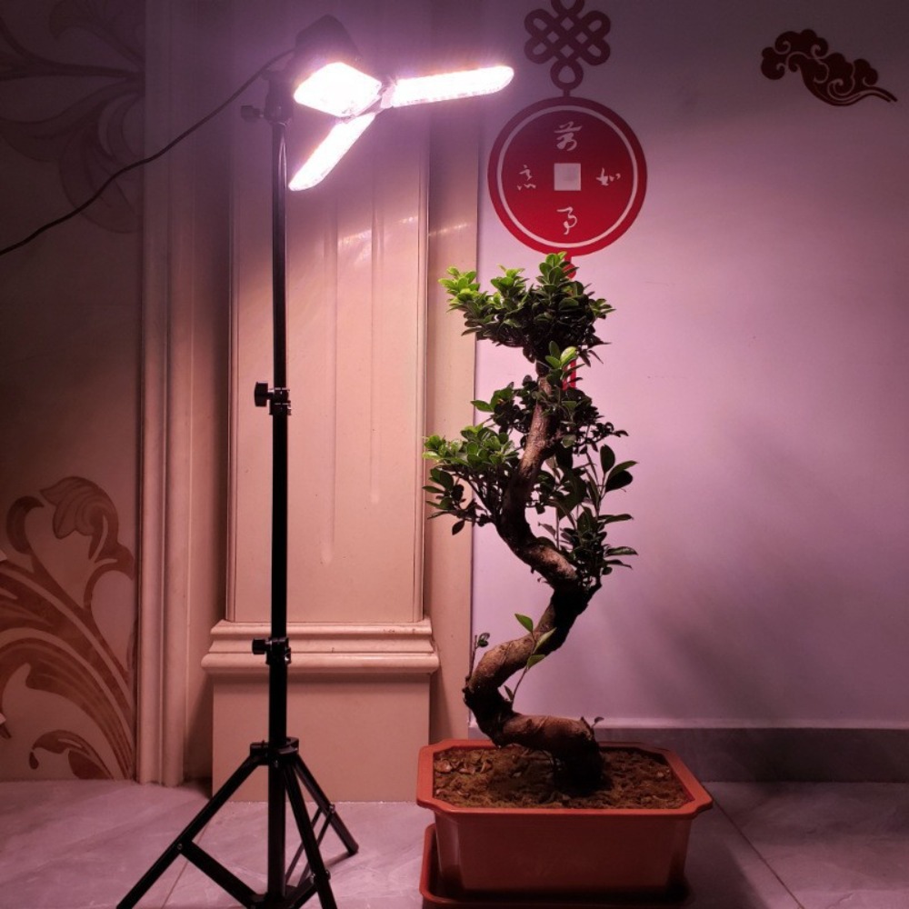 Light Bulb Stand 2M, E27 AC So - Photography Lighting For Studio ulasan dan harga