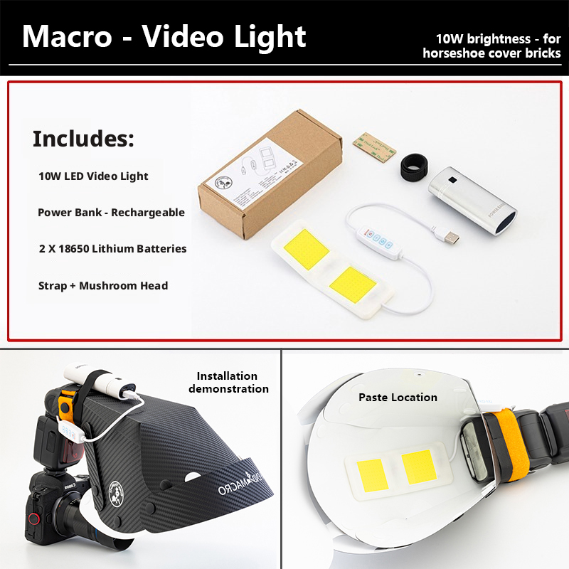 10W Mini Focusing Light for Al - Photography Lighting Softbox ulasan dan harga
