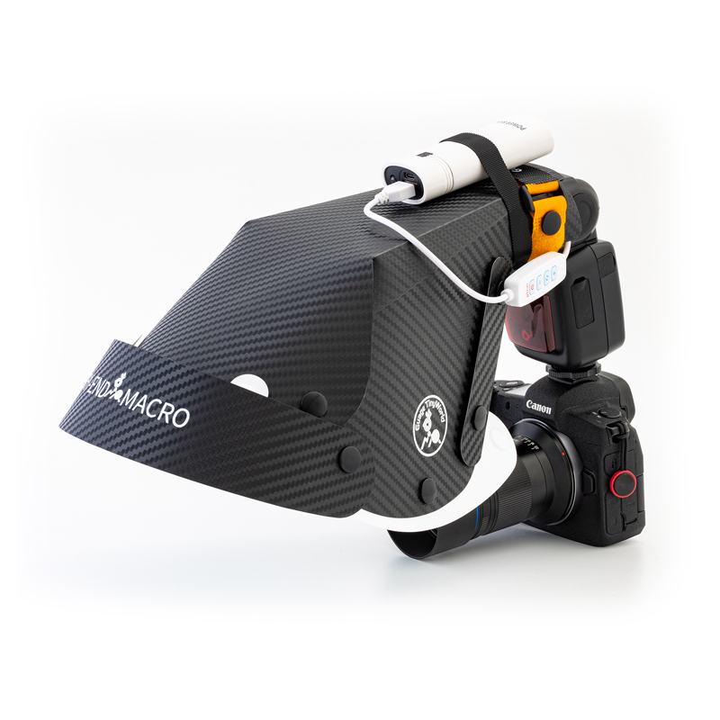 10W Mini Focusing Light for Al - Photography Lighting Softbox ulasan dan harga