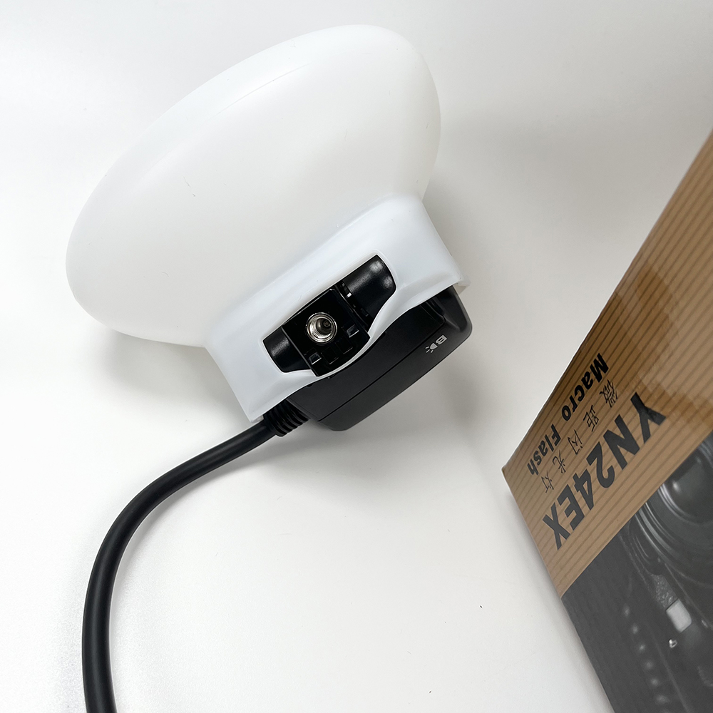 2pcs Softbox Dual Head Flash L - Photography Lighting Softbox ulasan dan harga